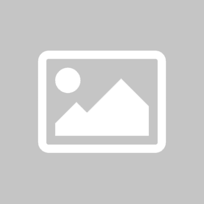 Alder Leaf Mountain Mahogany