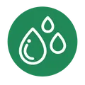 Drought Resistant
